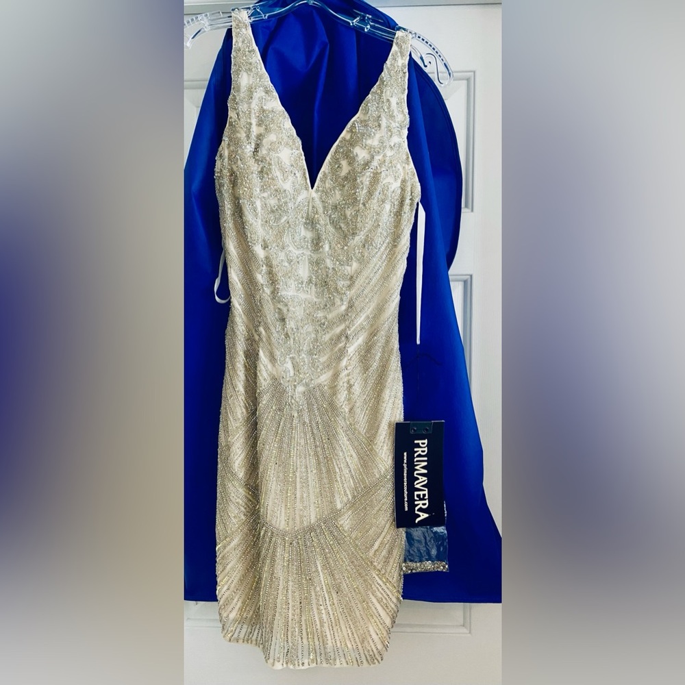 BRAND NEW PRIMAVERA HOCO DRESS